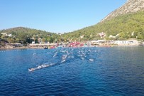 YAPı KREDI BANKASı - 11'İnci Uluslararası Arena Aquamasters Yüzme Şampiyonası Başladı