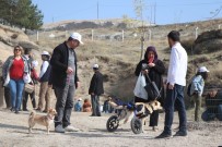 SOKAK KÖPEKLERİ - Bu Köy Sokak Köpeklerine Özel