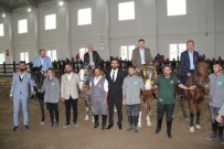 EĞLENCE MERKEZİ - Çorum Belediyesi Binicilik Tesisleri Hizmete Açıldı