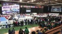 ALTUNTAŞ - Milli Kick Boksçulardan Dünya Şampiyonası'nda 16 Madalya