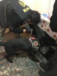 DEDEKTÖR KÖPEK - Narkotik Köpeği 'Bath' Uyuşturucu Tacirlerine Geçit Vermiyor
