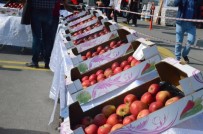 GÜZELLIK YARıŞMASı - Niğde'de 'En İyi Elma' Yarışması