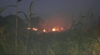 Samandağ'da Sazlık Alanda Çıkan Yangın Kontrol Altına Alındı