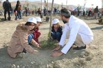 KAYHAN TÜRKMENOĞLU - Van'da Doğan Her Bebek İçin Bir Fidan Dikiliyor