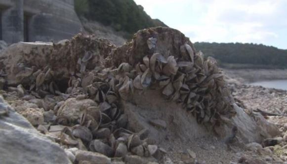 İstanbul barajlarında korkutan görüntü