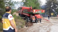 ORMAN İŞÇİSİ - Osmaniye'de Orman Yangını