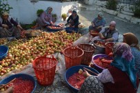 ÇıTAK - Sanayi Kenti Aliağa'da Nar Ekşisi Zamanı