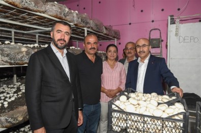 Vali Demirtaş, Mantar Üretim Tesisini Ziyaret Etti