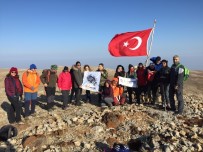 TÜRK BAYRAĞI - 29 Ekim Anısına  Fidanlar Dikildi