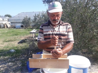 Çam Ağacından İmal Etti, Zeytin Üreticisinin Umudu Oldu