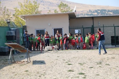 Cumhuriyet Bayramı Nedeniyle Öğrencilere Sosyal Faaliyet