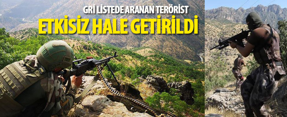Etkisiz hale getirilen terörist gri listede çıktı