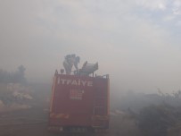 YANGINA MÜDAHALE - Kazdağları'nda Korkutan Yangın