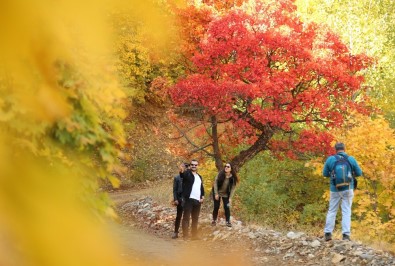 Tunceli'de Sonbaharla Gelen 'Renk Cümbüşü'