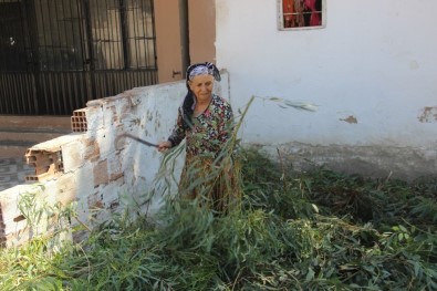 Aydın'da Kış Hazırlıkları Başladı