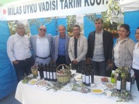 KOOPERATIF - Milas Uyku Vadisi Tarım Kooperatifi İlk Tesisini Açıyor