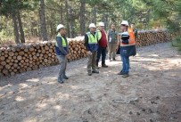 Orman Bölge Müdürü Keskin Açıklaması 'Üretimde Öncelik Kalitedir'