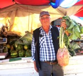 Pazara Getirilen 4 Buçuk Kiloluk Turp İlgi Odağı Oldu