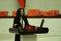 TÜRK DIL BAYRAMı - AK Partili Vekil Durgut Açıklaması 'Yahya Kemal'i Anlamak İçin Elimize Sözlük Alıyoruz'
