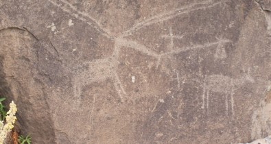 Bingöl'de Taş Devrine Ait, 12 Bin Yıllık Kaya Resimleri Bulundu