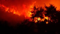 Bursa'da Çıkan Orman Yangını 4 Saatte Kontrol Altına Alındı