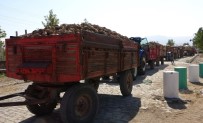 TÜRKIYE ŞEKER FABRIKALARı - Elazığ'da 165 Bin Ton Üretimi Beklenen Pancarın Alım Kampanyası Başladı