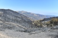 İZMIR VALILIĞI - İzmir Valiliğinden Orman Yangınlarıyla İlgili Beklenen İzin Geldi