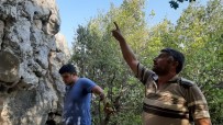 Kayalıkta Mahsur Kalan Keçi 3 Gündür Kurtarılmayı Bekliyor Haberi