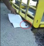 NİLÜFER - Kopan Parmakları Yetiştirmek İçin Zamanla Yarış