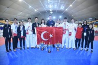 ALİ ŞAHİN - Milli Taekwondoculardan 3 Avrupa Şampiyonluğu