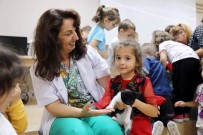 DÜNYA HAYVANLARı KORUMA GÜNÜ - Mudanyalı Minikler Can Dostlarıyla Buluştu