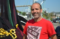 YUNUS BALIKLARI - (Özel) Tekirdağlı Balıkçıların Umudu 'Çinekop'