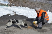 SOKAK HAYVANI - Sokaktaki Hayvanlar İçin Türkiye'de Bir İlk Olarak 'Pati Parkı' Yapıldı
