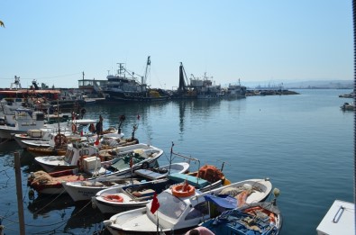 Tekirdağlı Balıkçıların Umudu 'Çinekop'