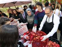 TÜRK MUTFAĞı - GAÜN Geleneksel Nar Festivali Gerçekleştirildi