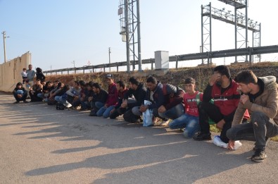 Hatay'da 29 Kaçak Göçmen Yakalandı