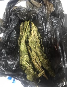 Konya'da Uyuşturucu Operasyonu Açıklaması 3 Gözaltı