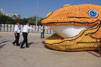 Vali Su, Herkesi Narenciye Festivaline Davet Etti