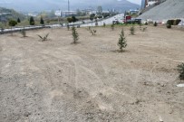 Karabük'te Ağaçlandırma Çalışması