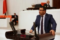 YAŞAR KARADAĞ - MHP Iğdır Milletvekili Karadağ, Maarif Müfettişlerinin Sorunlarını Meclis'e Taşıdı