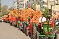 FESTIVAL - Toroslar Narenciye Festivali'ne Hazır