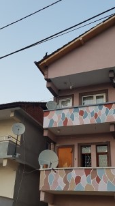 3 Katlı Evin Çatısına Çıkan Tavuk Kuş Gibi Uçarak Yere İndi