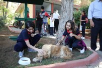 İHBAR HATTI - 4 Ekim Hayvanları Koruma Günü Etkinliği