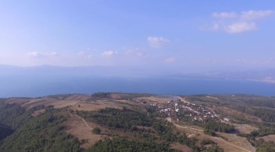 700 Bin Meşe Ve Kayın Ağacı Kurtuldu