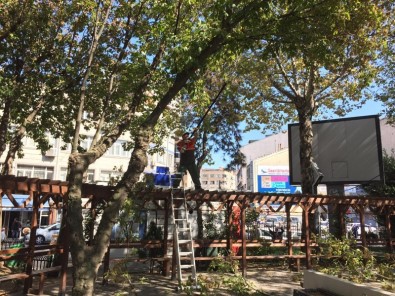 Bayrampaşa'da Parklara Sonbahar Bakımı