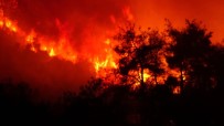 Bursa'daki Orman Yangınının Bilançosu Havadan Görüntülendi