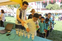 DÜNYA ŞAMPİYONASI - Büyükşehir Belediyesi Stantları Büyüledi!