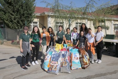 Çocuklar Sokak Hayvanları İçin Çaldı