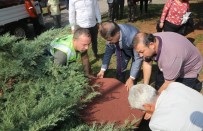 ŞEHİT PİLOT - Deveci Açıklaması 'Atakum Belediyesi Canlı Dostudur'