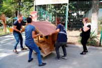 SOKAK HAYVANLARI - Edremit'te Kedi Ve Kuşların Evleri Oldu